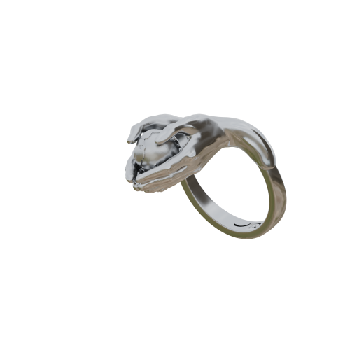 ბეჭედი: შენს ხელთ